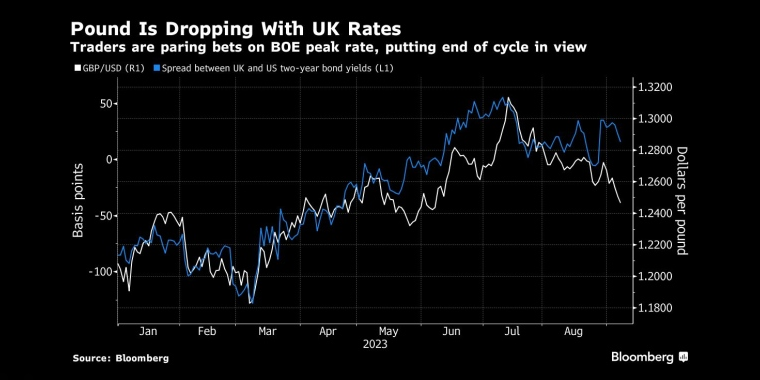 英镑跟随英国利率下跌交易员正在削减对英国央行见顶利率的押注，认为周期即将结束 - 行情走势分析 - 股指、黄金、外汇、原油 - 财经图表/统计图表/分析图表/经济指标【GDP-CPI-PMI-非农】 - 彭博社 - Bloomberg - 市场矩阵